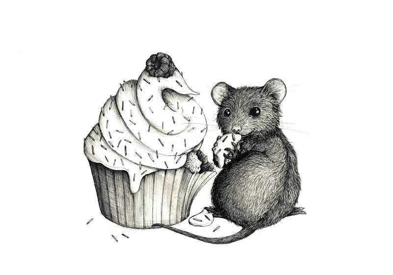 20-08_maus-cupcake.jpg
