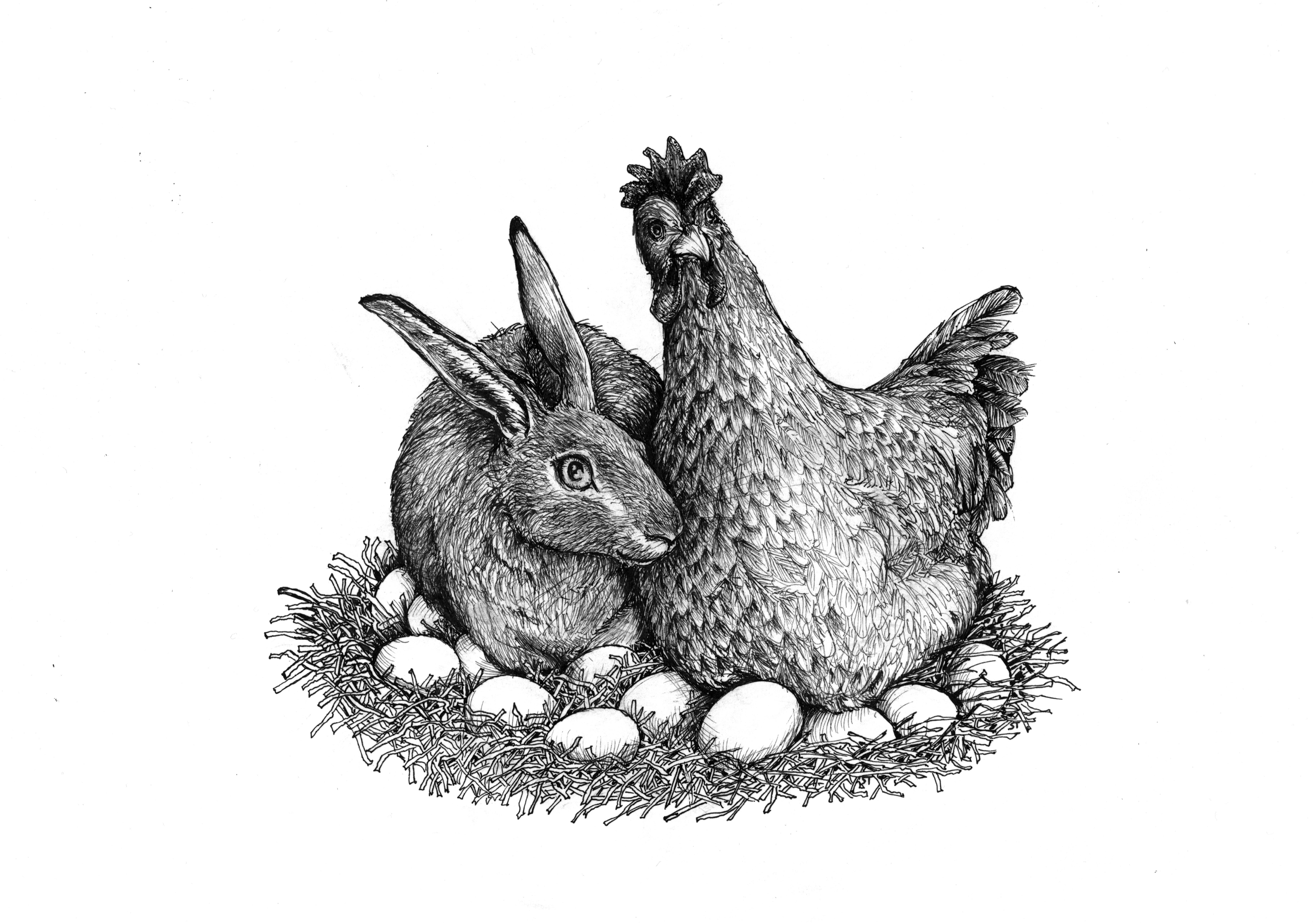 20220308_osternest.jpg