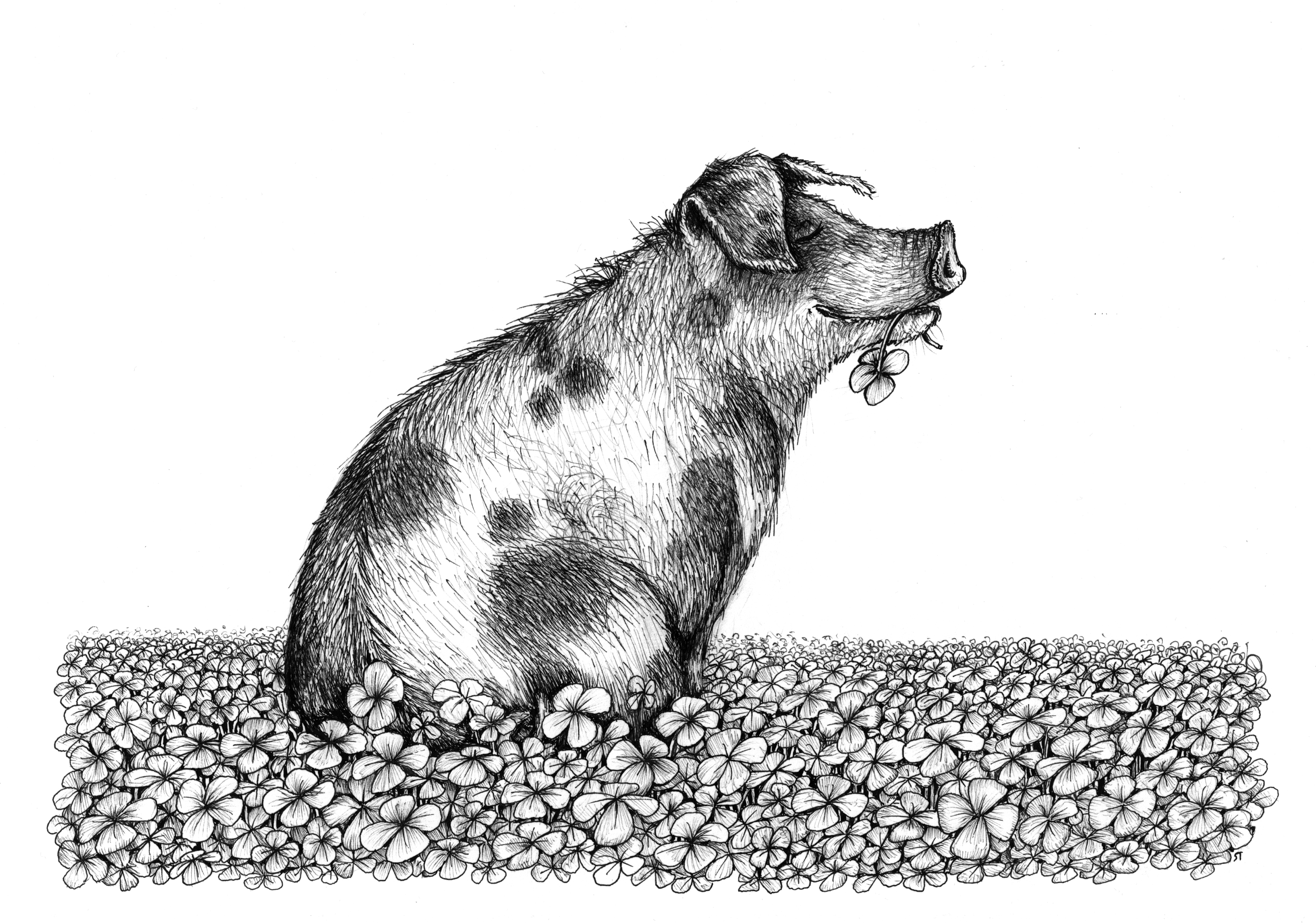 21-10_Schwein-im-Glueck_.jpg
